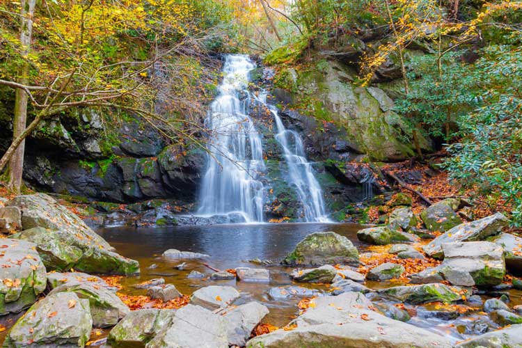 spruce flat falls